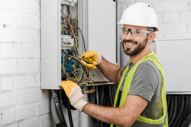 Best Local Electrician Companies  in Osakis, MN