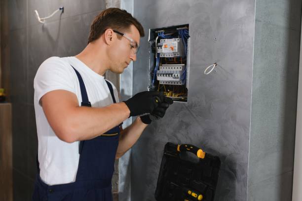 Best Electric Panel Repair  in Osakis, MN